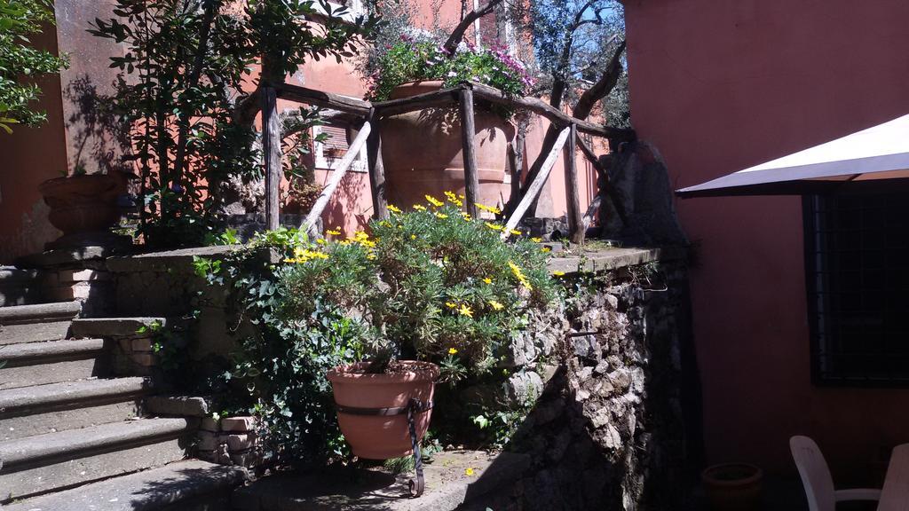 La Dolce Casetta Grottaferrata Exterior photo